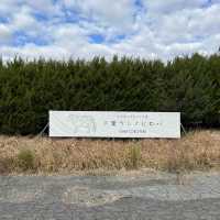 牛が暮らすキャンプ場　千葉ウシノヒロバ
