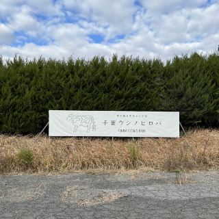 Chiba Ushinohiroba: A campsite where cows live