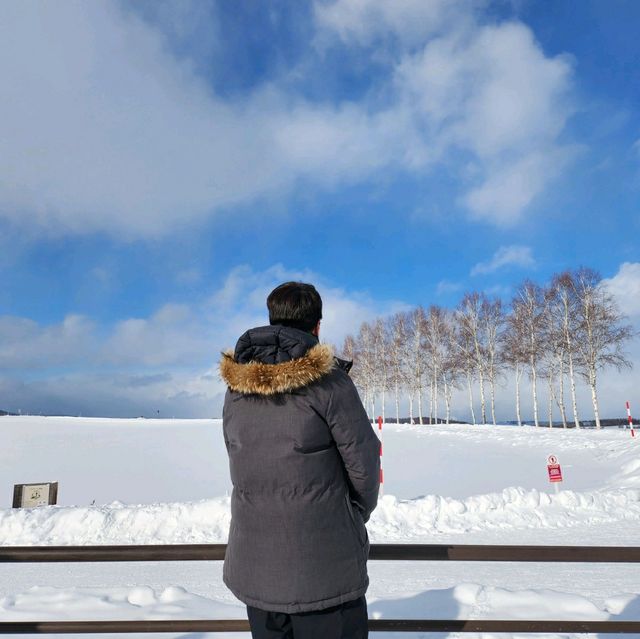 홋카이도 설국 여행 비에이 버스 투어