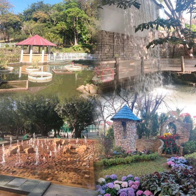 晨運緩跑~心曠神怡~花悅滿城~元朗公園