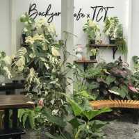 Backyard cafe X TCT