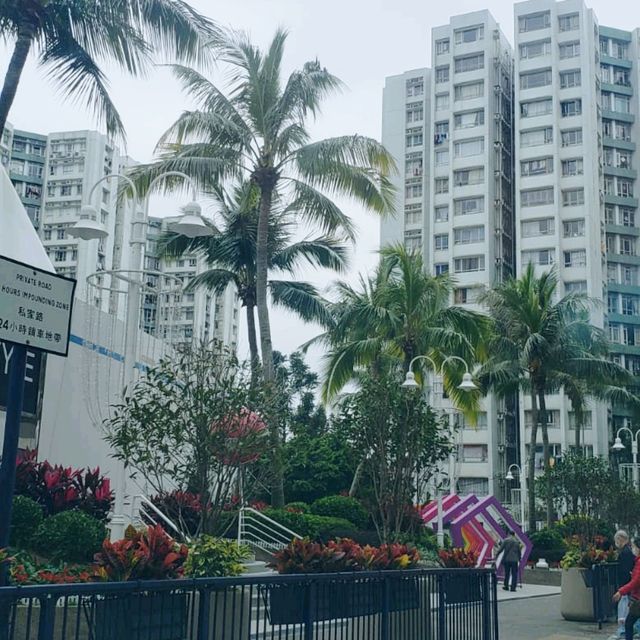 黃埔號停在船景街！黃埔花園！似陸上行舟！