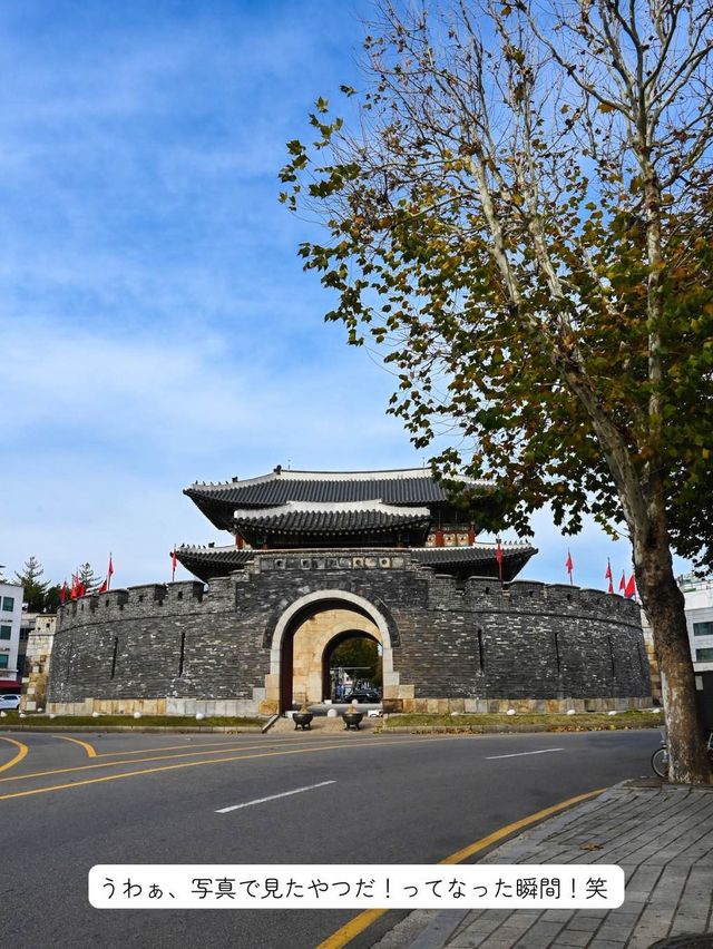 【韓国旅行🇰🇷】水原(スウォン)観光！有名な八達門へ行ってみた！