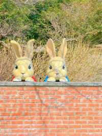 튤립 축제가 열리고 있는, 제주 상효원🌷
