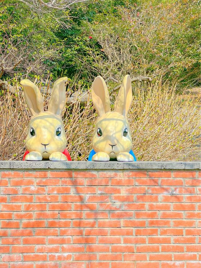 튤립 축제가 열리고 있는, 제주 상효원🌷