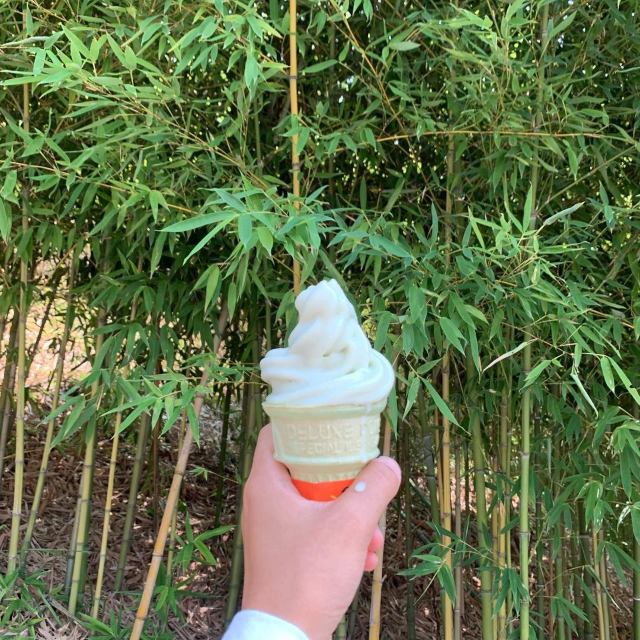 예쁜 계절 여름, 담양 여행코스 추천🌸💖