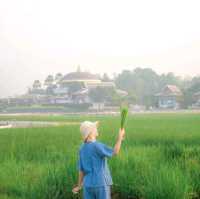 ที่พักธรรมชาติเชียงใหม่ พื้นที่กว้างขวางสบายตา 