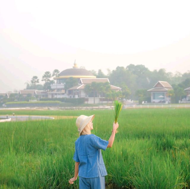 ที่พักธรรมชาติเชียงใหม่ พื้นที่กว้างขวางสบายตา 