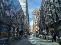 Central Tokyo metropolitan, Marunouchi