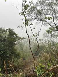 Hiking 