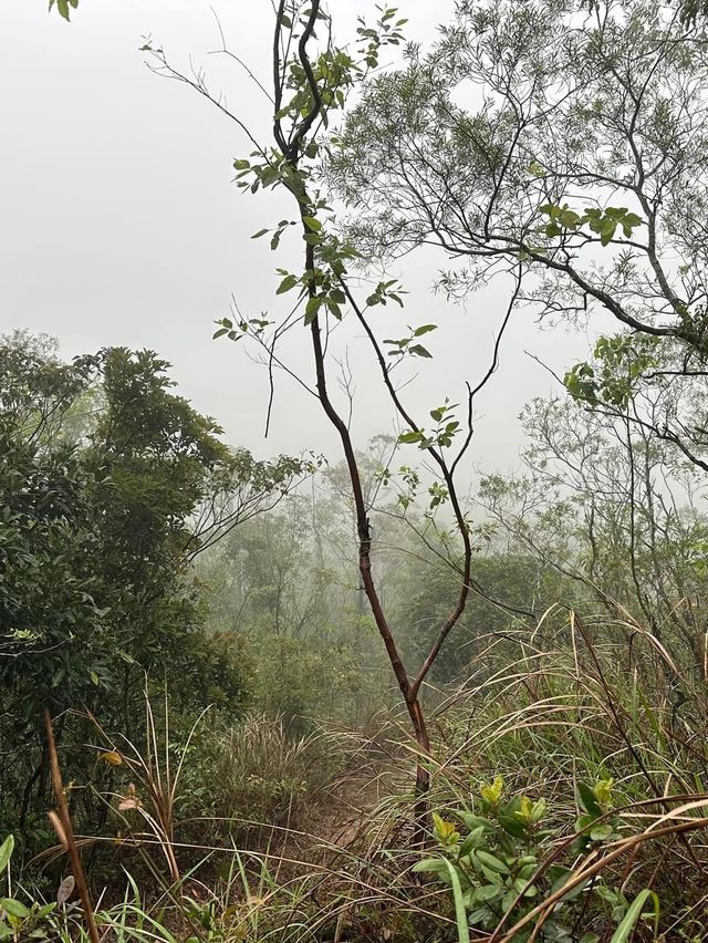 Hiking 