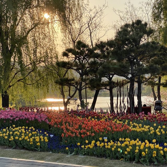 “2023순천만국제정원박람회” 보러 순천만국가정원으로~