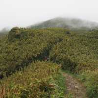 Yangmingshan: Lengshuikeng>>xiaoyoukeng trail