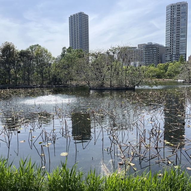 🦅🐙🐊意料之外玩了半天🦧上野動物園🐯🐼🐧