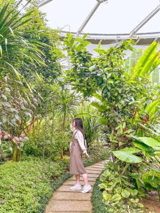 首爾附近的療癒植物園