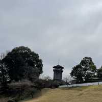 【熊本】人吉球磨の雛飾り