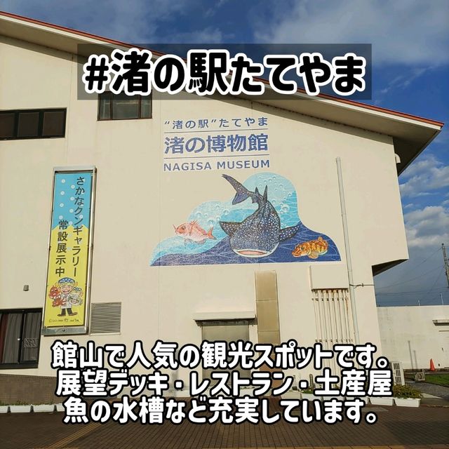 房総半島観光おすすめ6選(鴨川・館山編)