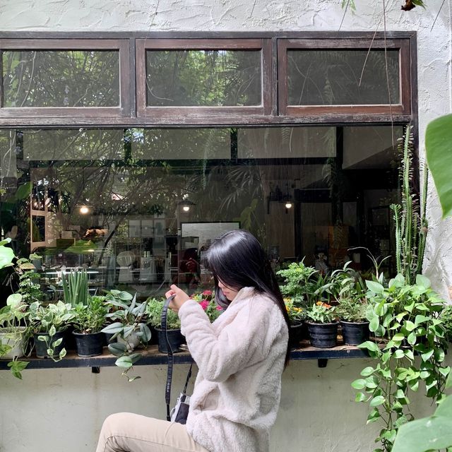 Charlotte hut 📍 เมืองแพร่ .,