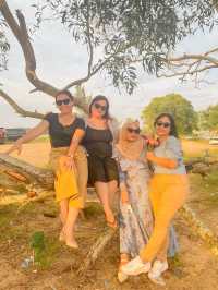 STRATEGIC PLACE FOR PICNIC ON MIRI♥️