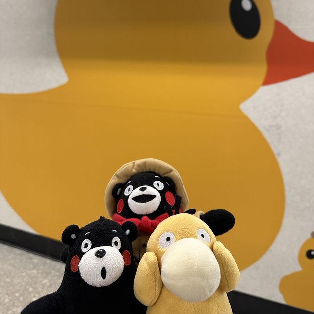 Yellow Ducks are back to Hong Kong 🐤🐤
