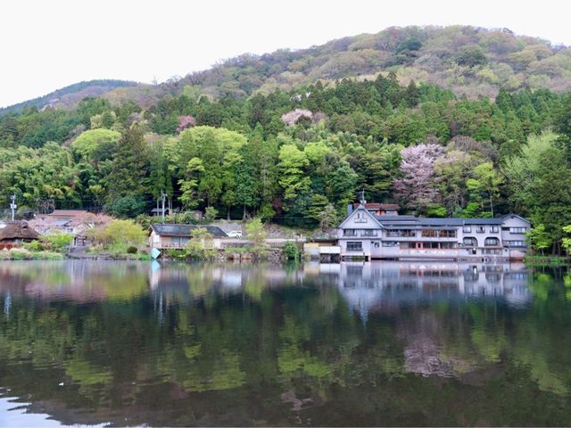 由布院 🇯🇵 日本人都會到訪的度假勝地🛫🎉🎊