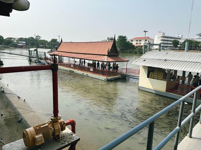 วัดพนัญเชิงวรวิหาร วัดเก่าแก่ของคนอยุธยา