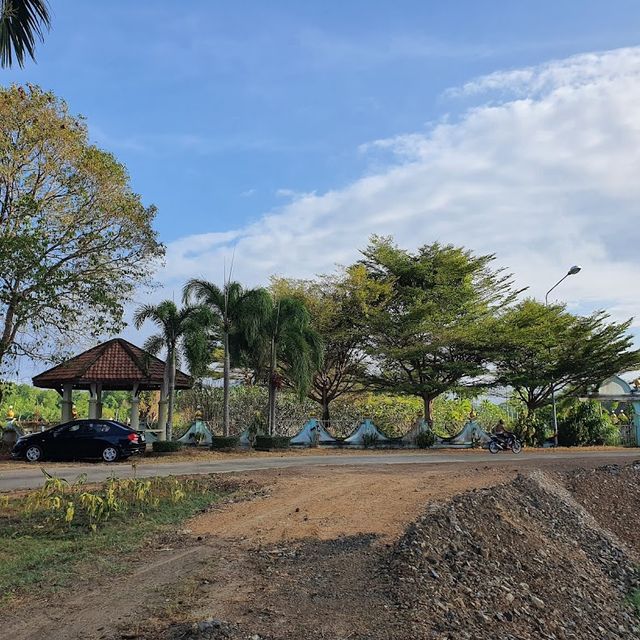 ทุ่งทานตะวัน เขาทะนาน อ.ทุ่งหว้า จ.สตูล