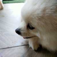 อากาศ ที่ >> เจอพอดี คาเฟ่ !! มุมสบาย เกาะช้าง