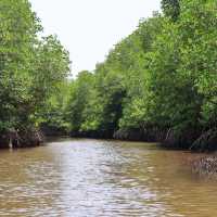 ล่องเรือชมวิถีชุมชนปากน้ำปราณ