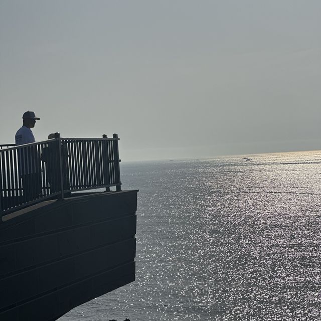동해의 수평선을  맘껏 구경할 수 있는 🌊 제주 어영공원