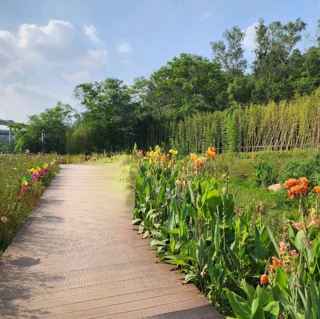 ▍療癒之旅 ▍深圳都市田園：忘卻喧囂，尋覓愜意自然美景 