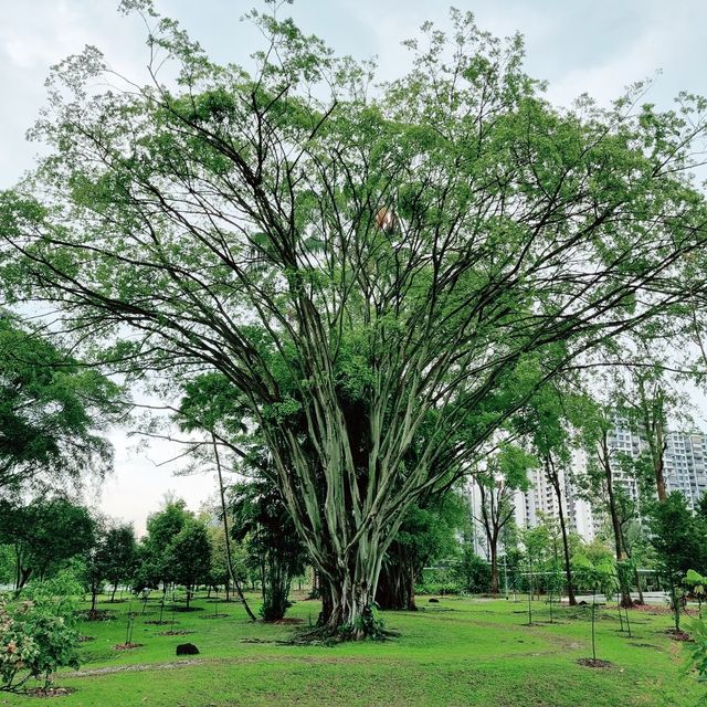 Jurong Lake Gardens: Nature, Play, Learn