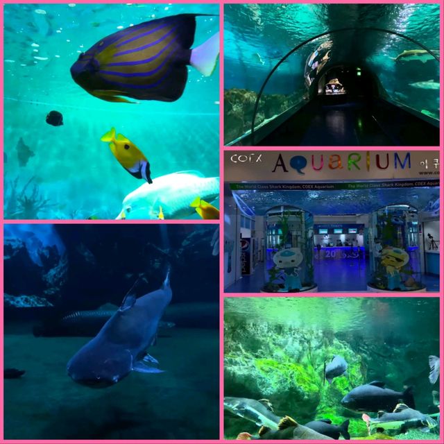 首爾商場內水族館
