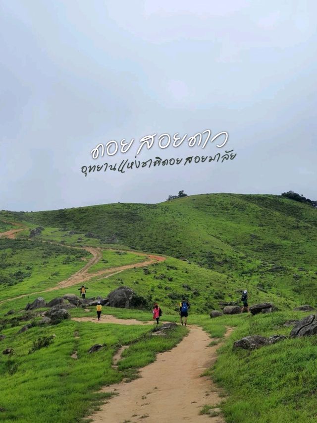 ดอยสอยมาลัย⛰️