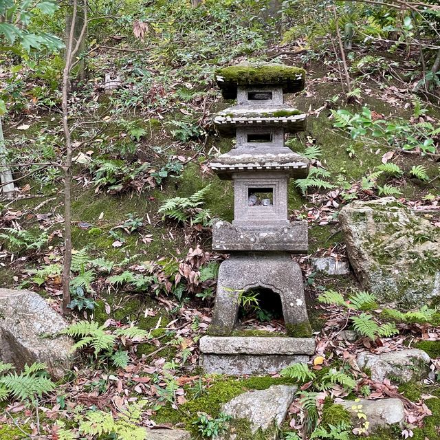 Zen Majesty: Tofuku-ji Tranquility Unveiled