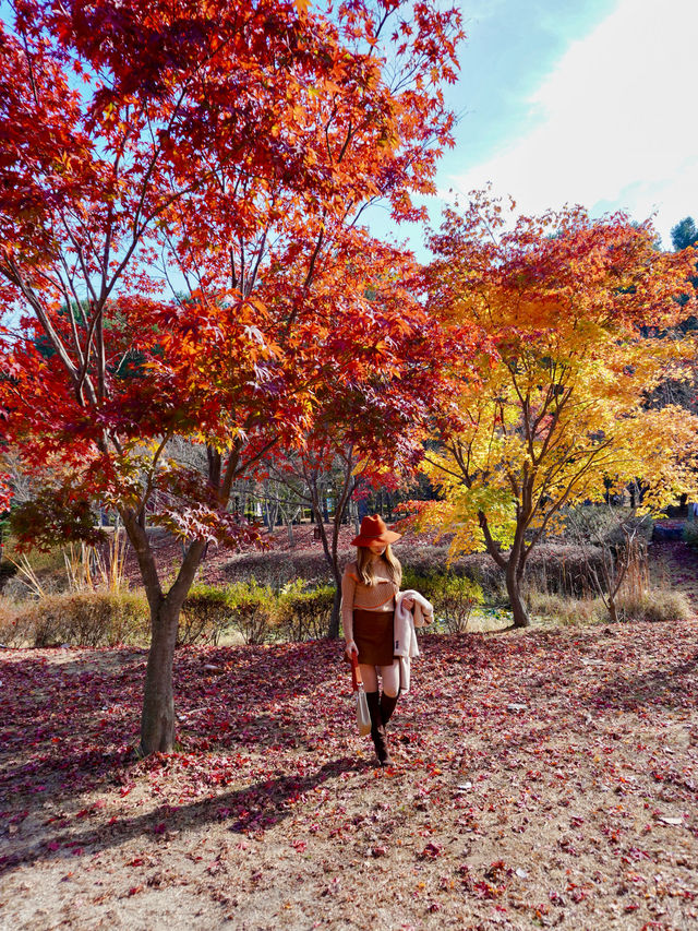 Best autumn spots in Seoul & beyond 🍁🍂