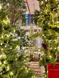 국내에서 제일 핫한 크리스마스 팝업, 더현대서울🎄