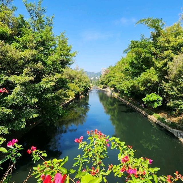 都市中的高登好去處
