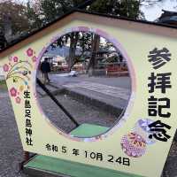 祈求安產的子安社 👶🏻