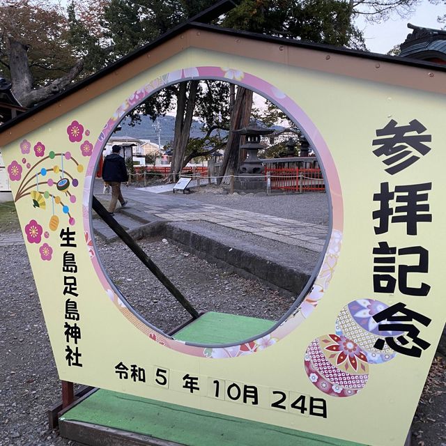 祈求安產的子安社 👶🏻