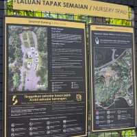 HIKING AND JOGGING AT TAMAN TUGU 