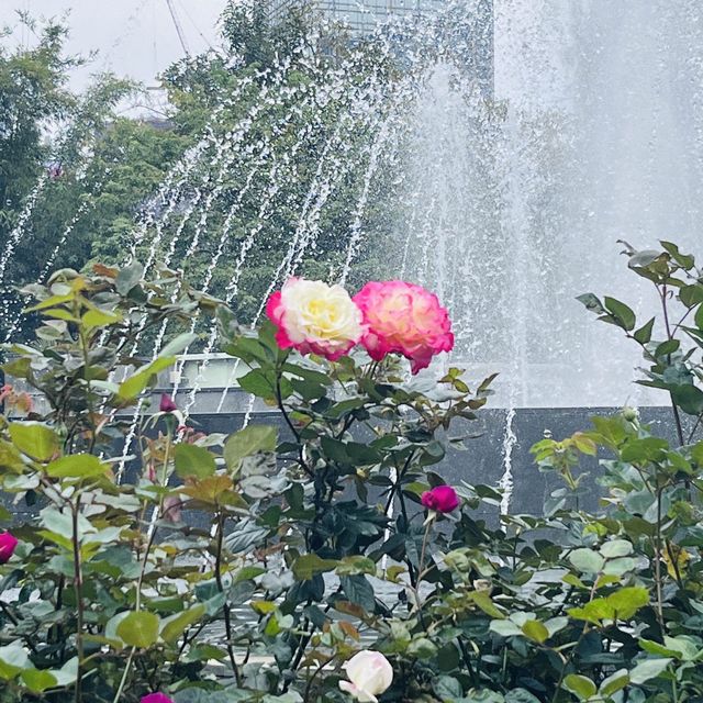 香港動植物園-給自己最美的大自然的饗宴