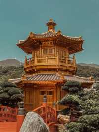 香港市區走向偽日本京都之旅🇯🇵