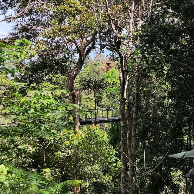 Penang Rainforest Discovery Centre