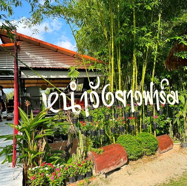 หนำวังยาวฟาร์ม​ ไร่กาแฟ​ &camping