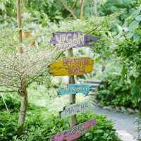 Roost Glamping Phuket