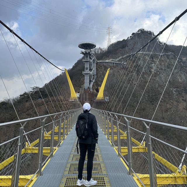 Fall in love with suspension bridges !! 