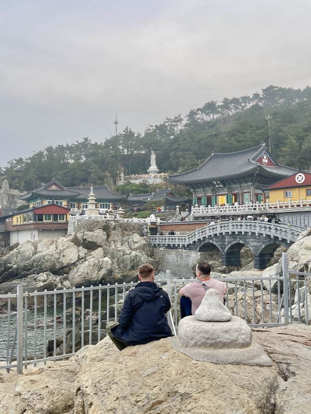 부산 기장 해동용궁사 부산여행에 꼭 넣으세요❣️