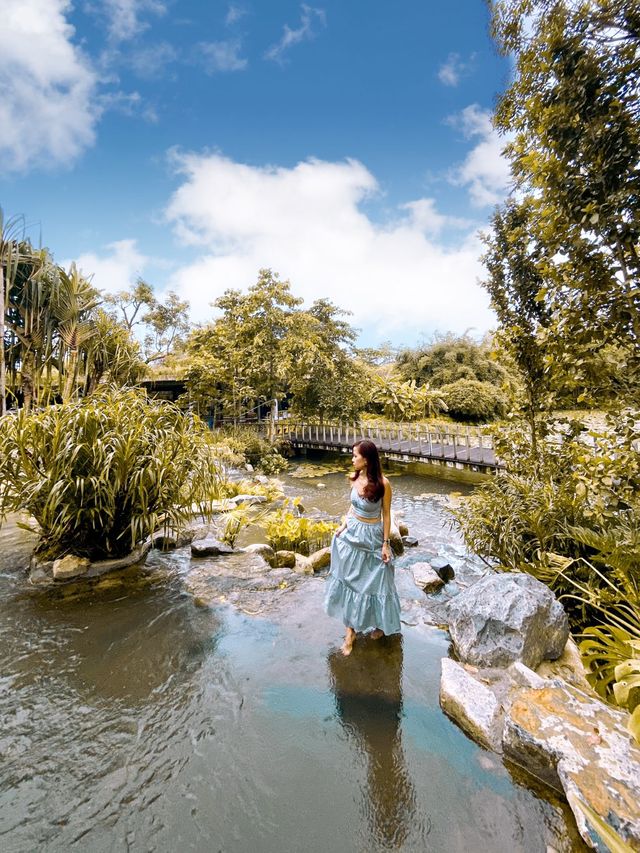 Get wowed by the Freshwater Sanctuary 🌱