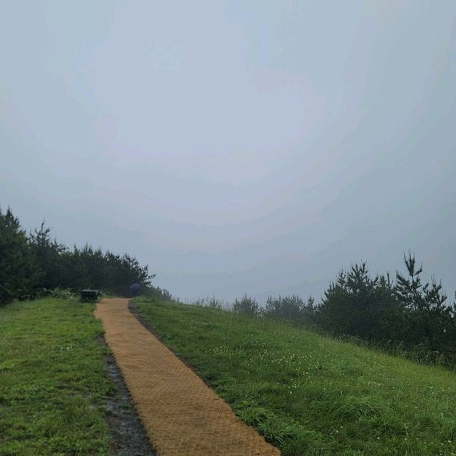 제주여행 제주도의 인기 오름 중 하나의 아부오름 등반